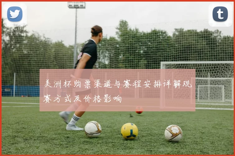 美洲杯购票渠道与赛程安排详解观赛方式及价格影响