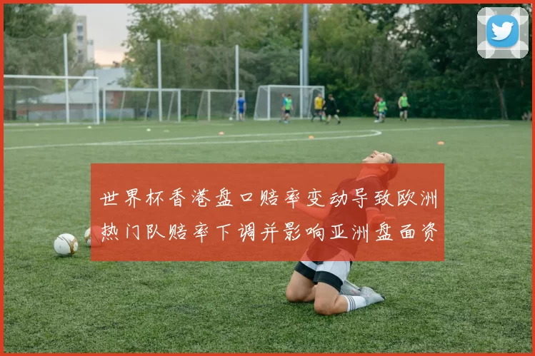 世界杯香港盘口赔率变动导致欧洲热门队赔率下调并影响亚洲盘面资金走向