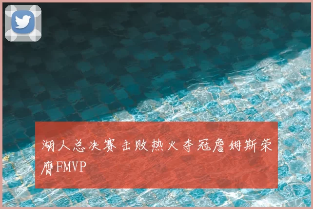 湖人总决赛击败热火夺冠詹姆斯荣膺FMVP