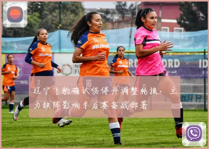 辽宁飞豹确认伤停并调整轮换，主力缺阵影响季后赛备战部署