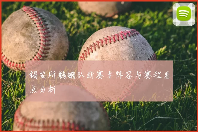 锡安所鹈鹕队新赛季阵容与赛程看点分析