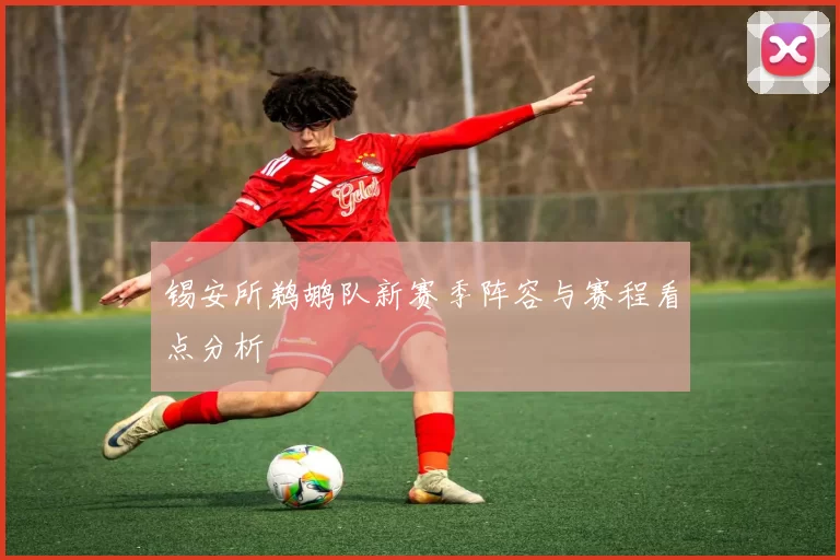 锡安所鹈鹕队新赛季阵容与赛程看点分析