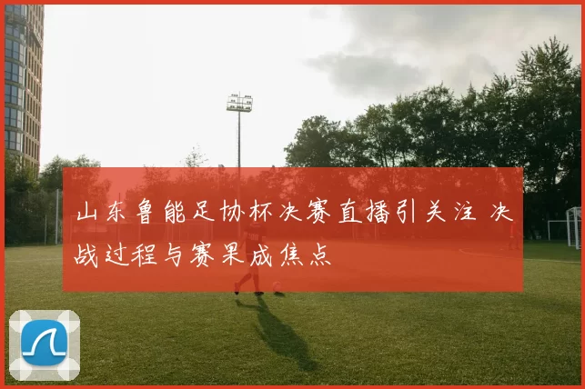 山东鲁能足协杯决赛直播引关注 决战过程与赛果成焦点