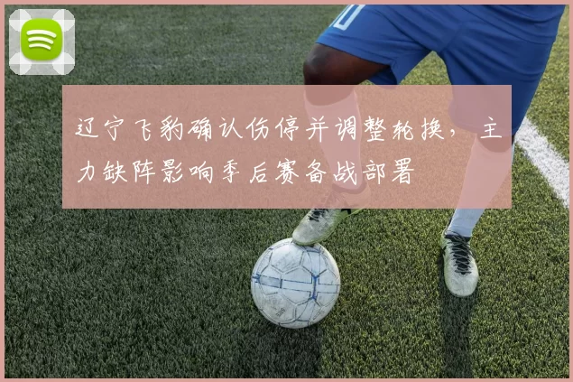 辽宁飞豹确认伤停并调整轮换，主力缺阵影响季后赛备战部署