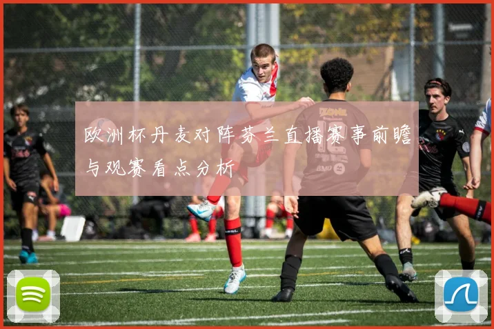欧洲杯丹麦对阵芬兰直播赛事前瞻与观赛看点分析