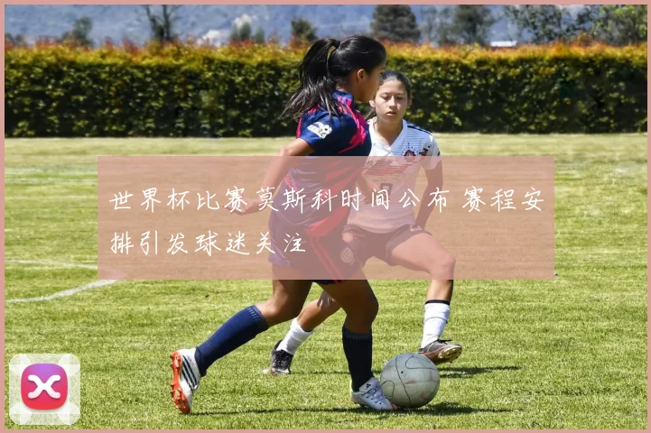 世界杯比赛莫斯科时间公布 赛程安排引发球迷关注
